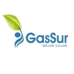 logotipo de la empresa gassur